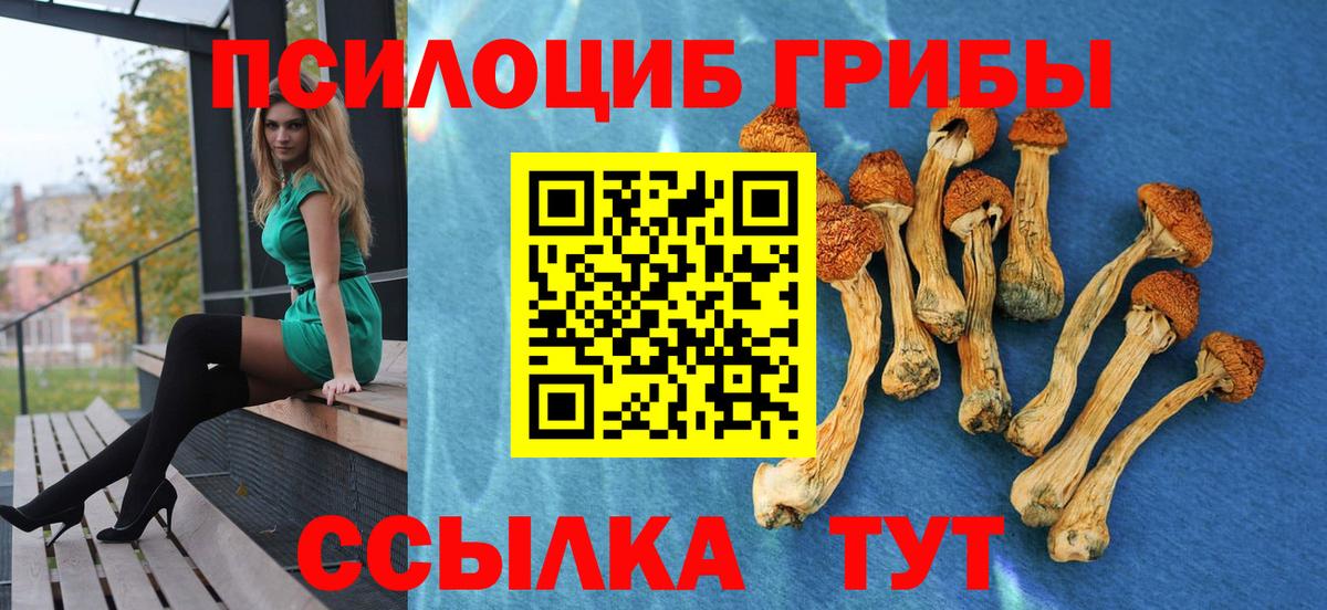 Галлюциногенные грибы мухоморы Миллерово