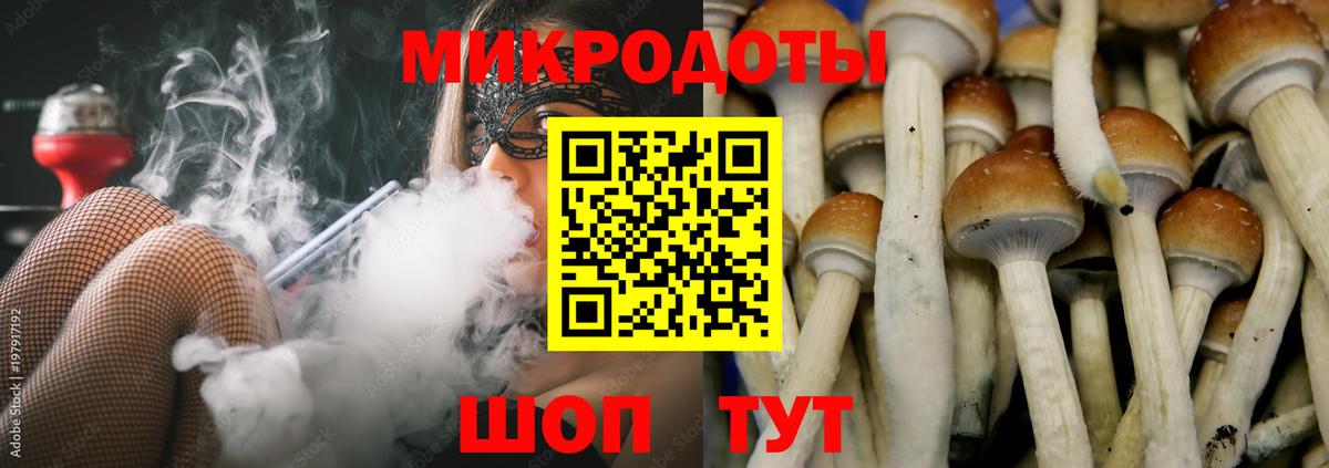 Псилоцибиновые грибы Psilocybe  магазин    Миллерово  Вход с VPN 